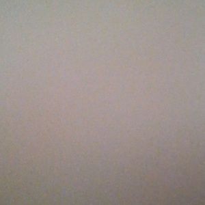 Meet your Posher, Gillian